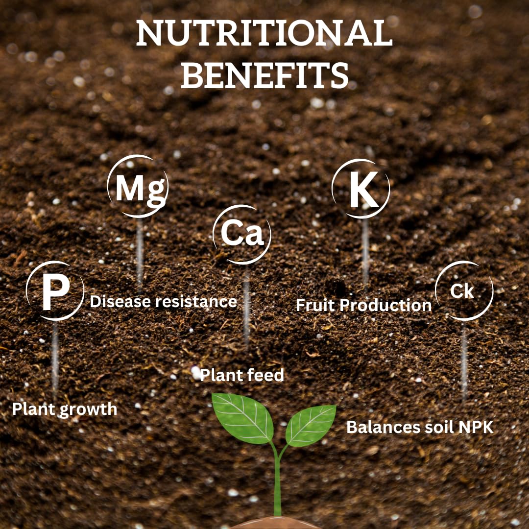 Udyanika Seaweed Liquid Concentrate- Organic Fertilizer For Plants