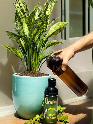 Udyanika Seaweed Liquid Concentrate- Organic Fertilizer For Plants
