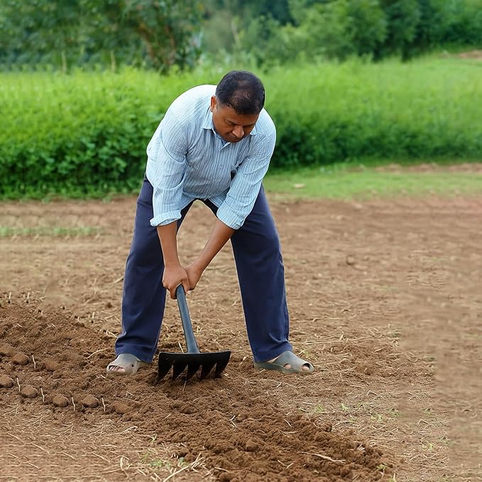 Udyanika Weeder Remover