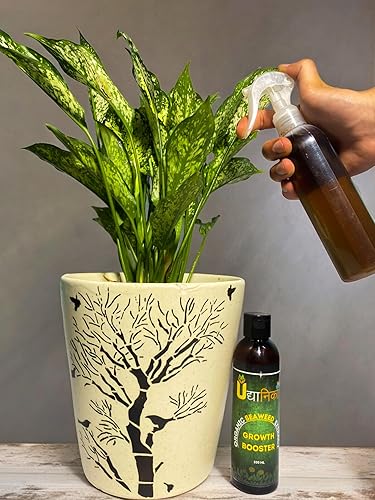 Udyanika Seaweed Liquid Concentrate- Organic Fertilizer For Plants